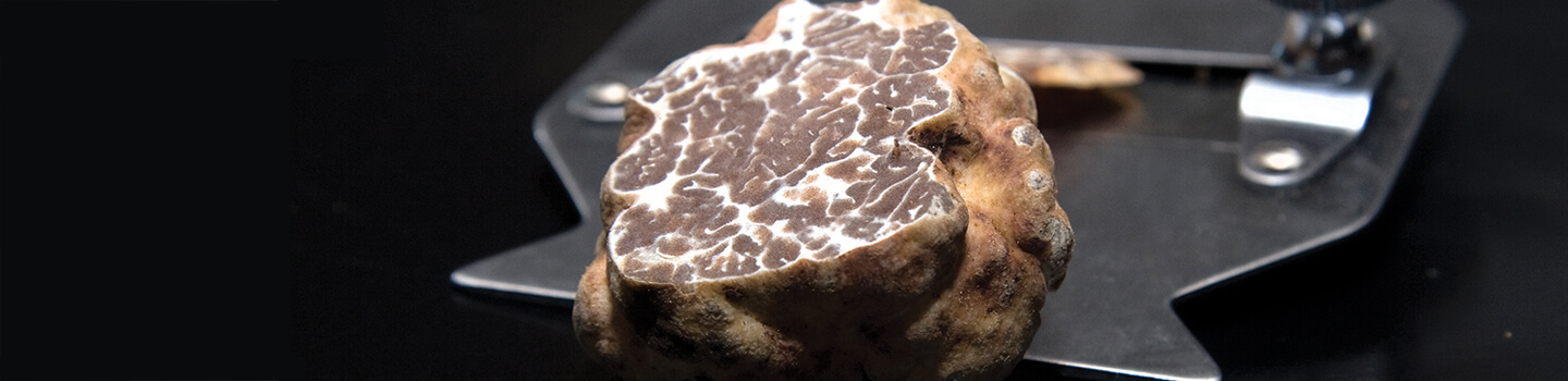 Introduction to Truffles