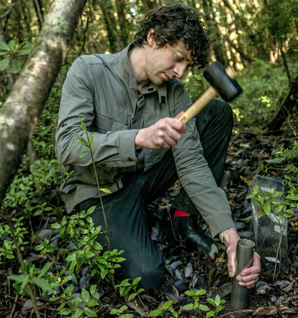 Enchanted and Entangled A Truffle and Fungi Immersion Oregon Truffle