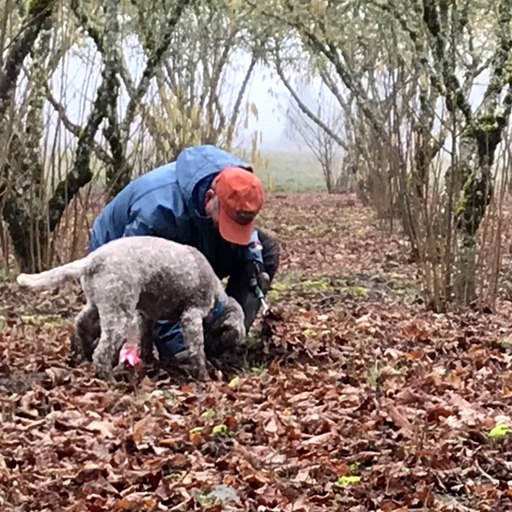 A dog trainer and their dog digging in the leaves.